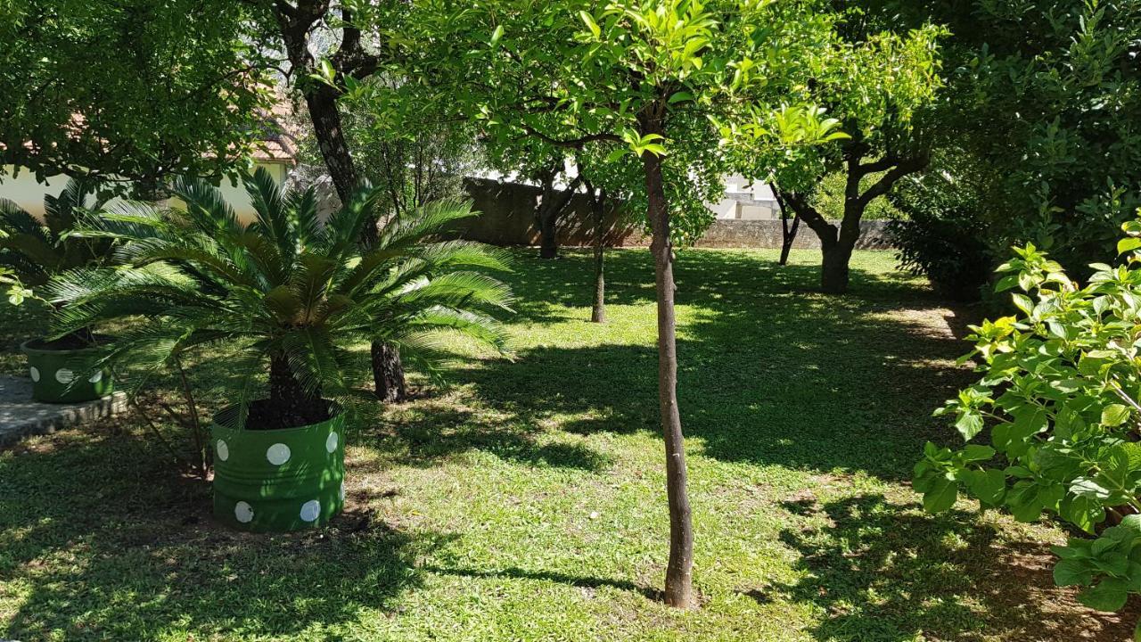 קוטור Apartment Angel מראה חיצוני תמונה